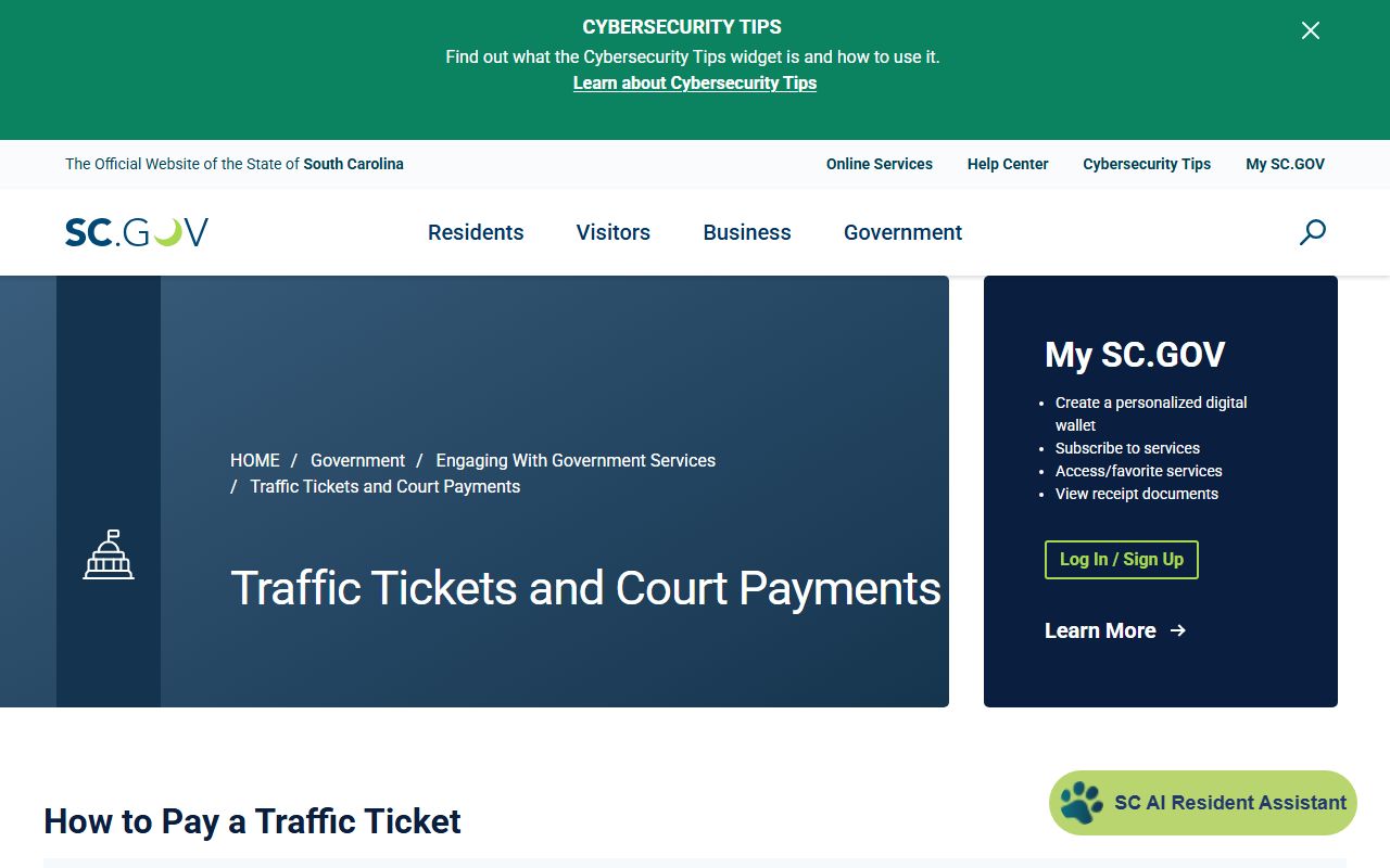 Chester County traffic court records SC.gov payment workflow